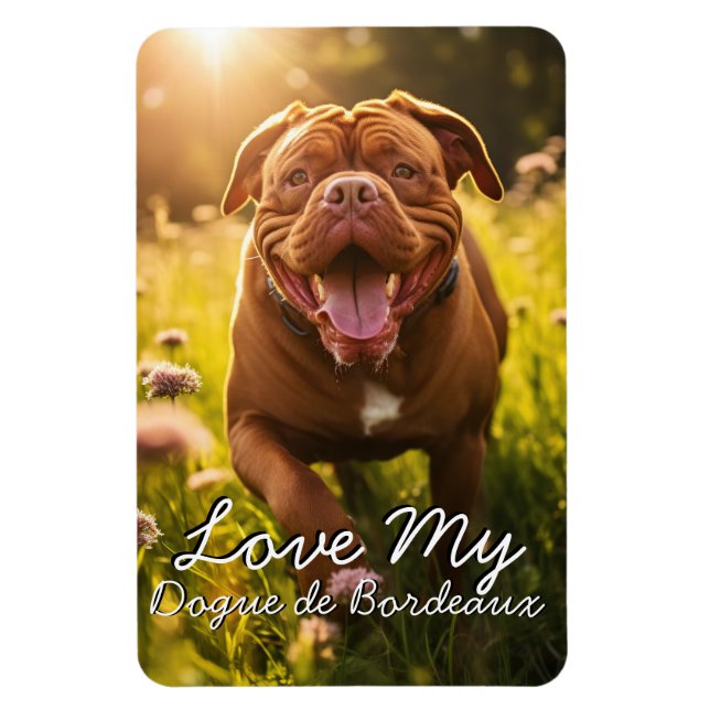 Custom Dogue de Bordeaux Fridge Magnet (Vertical)