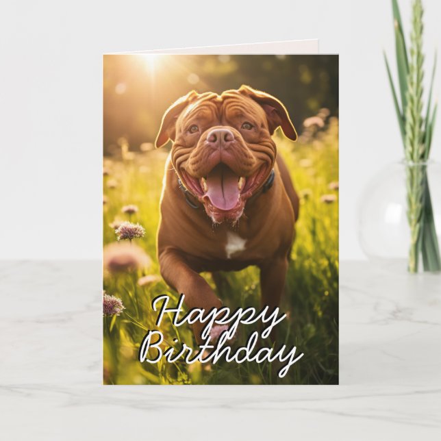 Custom Dogue de Bordeaux Happy Birthday Card (Front)