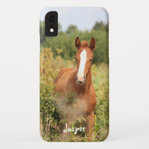 Custom Equestrian Horse Photo Case-Mate iPhone Case