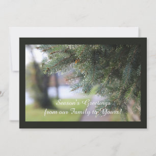 Custom Evergreen Landscape Nature Photo Dark Green Holiday Card