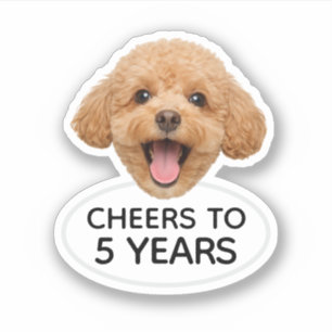 Custom Face Animalr Birthday Party Favors