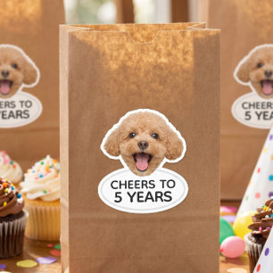 Custom Face Animalr Birthday Party Favours