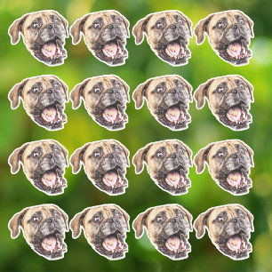 Custom Face Dog Stickers Personalized 16 Photos