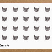 Custom Face Stickers Personalised Cat Face Photo