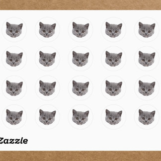 Custom Face Stickers Personalised Cat Face Photo