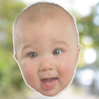 Custom Face Stickers Personalised Face Photo
