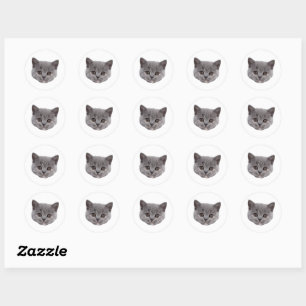 Custom Face Stickers Personalized Cat Face Photo