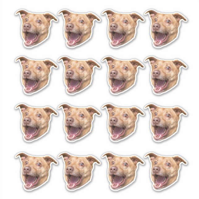 Custom Face Stickers, Photo Stickers, Stickers Dog (Front)