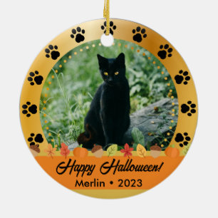 Custom Fall Halloween Photo Name Year Pet Ornament