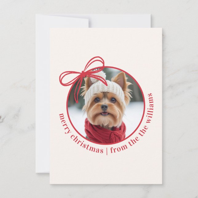 Custom Family Pet Photo Merry Christmas Holiday Card (Front)