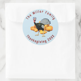 Custom Family Thanksgiving Funny Turkey & Pumpkins Classic Round Sticker