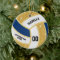 Custom Faux Gold Glitter, White & Blue Volleyball