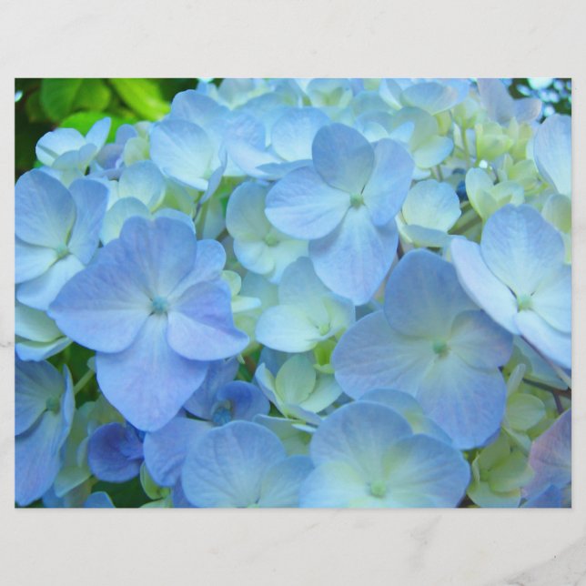 Custom Floral Flyers Blue Hydrangeas Holidays (Front)