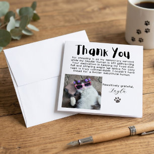 Custom Funny Cat Sitter Photo Thank You Card