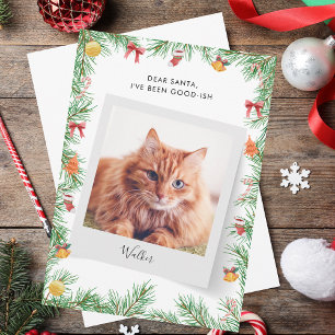 Custom Funny Pet Cat Dear Santa Christmas Holiday Card