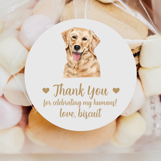 Custom Golden Retriever Dog Wedding Favour Sticker (Creator Uploaded)