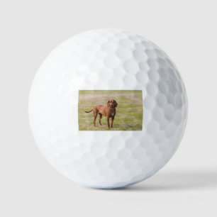 Custom Golf Balls, Golf Gifts For Men, Personalise Balls