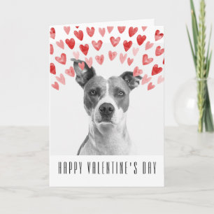 Custom Happy Valentine's Day from the Dog Card