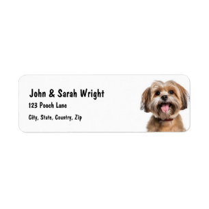 Custom Havanese  Dog Address Label Return Address Label