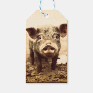 Custom Hogs & Kisses Muddy Piglet Boutique Gift Tags