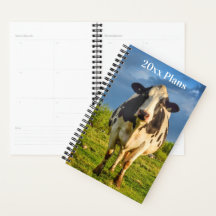 Custom Holstein Cow Business