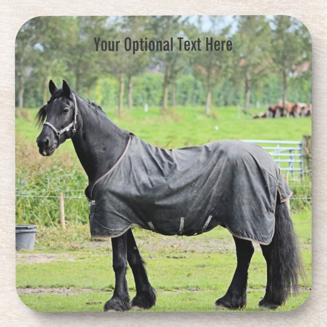 Custom Horse Coasters (Front)