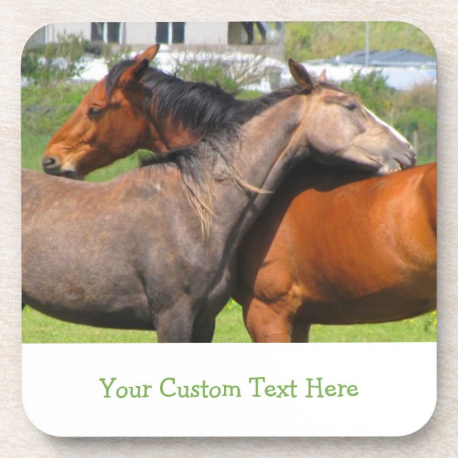Custom Horse Coasters (Front)