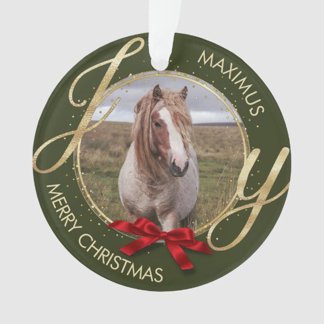 Custom Horse Name Photo horse lover Ornament (Front)