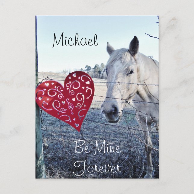 Custom HORSE Valentine heart Holiday Postcard (Front)