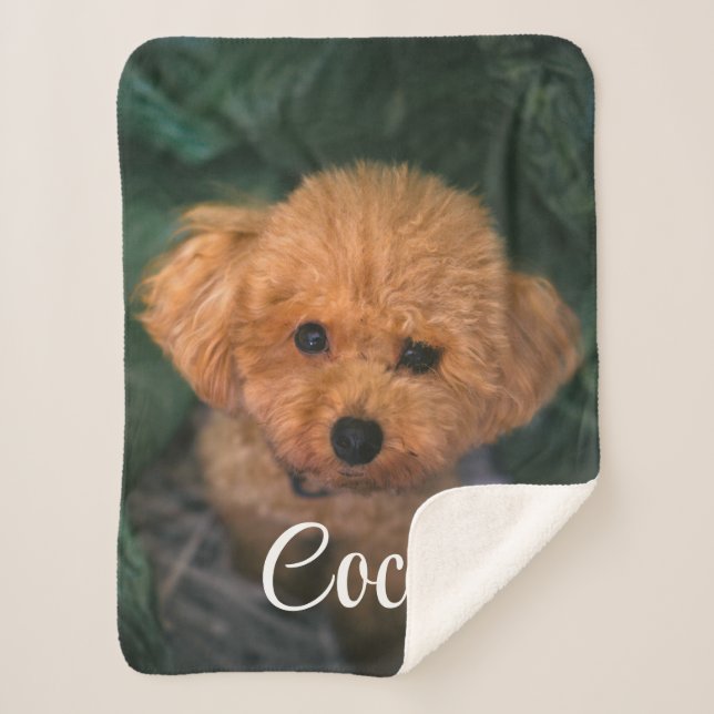 Custom Image And Name Cute Dog Blanket Gift (Front)