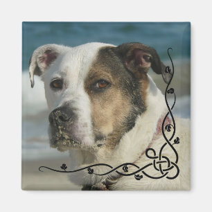 Custom Instagram Photo Create Your Own Magnet