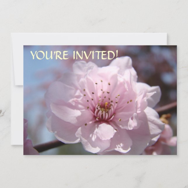 Custom Invitations You're Invited! Pink Blossoms (Front)