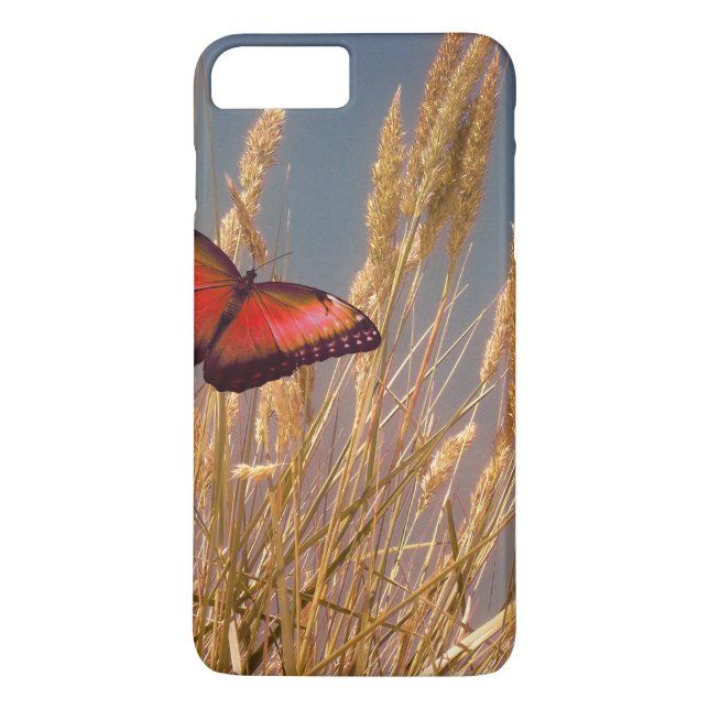 Custom iPod Case (Back)