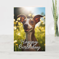 Custom Italian Greyhound Happy Birthday Card