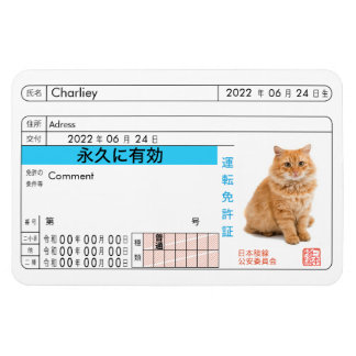Custom Japanese Driver's License Card!! Magnet