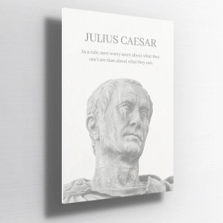 Custom Julius caesar inspirational quote Poster