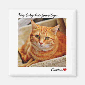 Custom Large Photo Personalized Pet Magnet