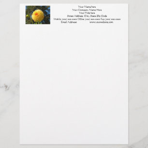 Custom Letterhead Orange Dahlia Flower