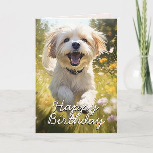 Custom Lhasa Apso Birthday Card