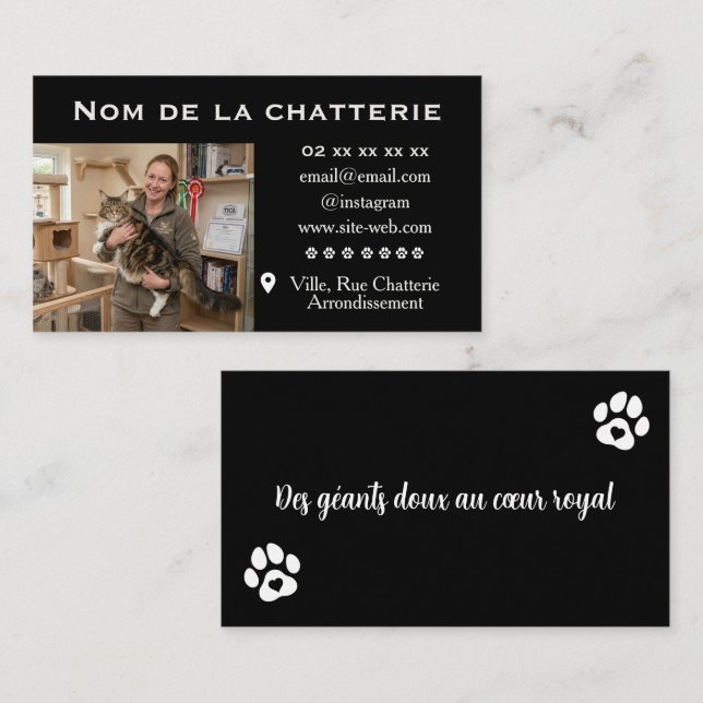 Custom Maine Coon Cattery Business Card (Front/Back)