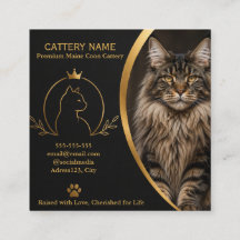 Custom Maine Coon Cattery Business Card with Photo