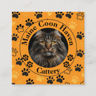 Custom Maine Coon Cattery Square Business Card 
