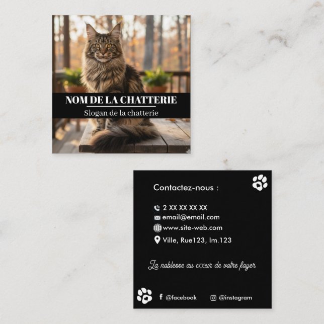 Custom Maine Coon Cattery  Square Business Card (Front/Back)