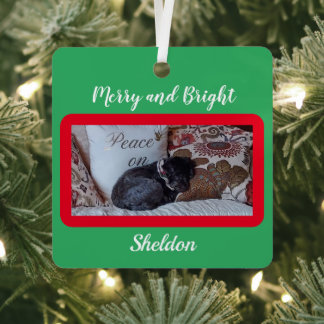 Custom Merry and Bright Red Border Pet Photo Name  Metal Tree Decoration