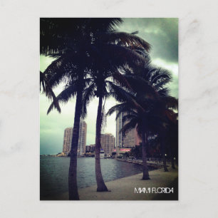Custom Miami Florida Downtown and Harbour At Night Postcard