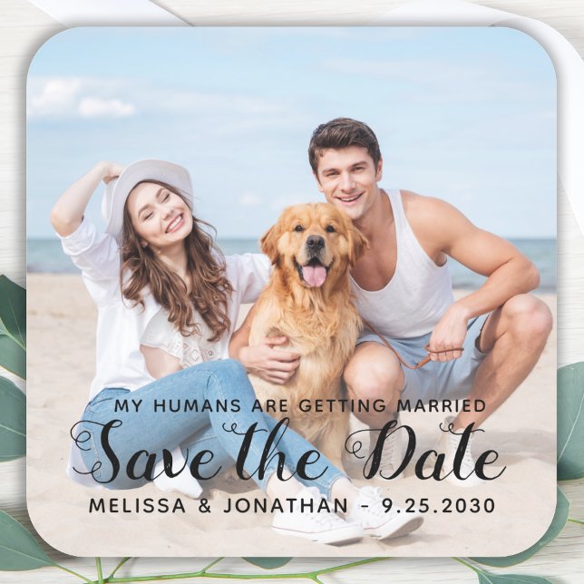 Custom Modern Engagement Pet Wedding Dog Photo Square Sticker (Creator Uploaded)