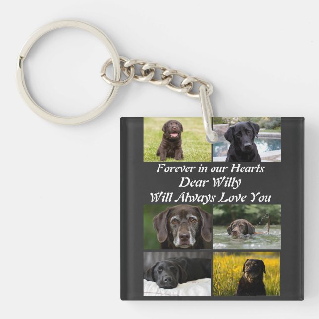 Custom modern Pet Memorial 6 Photo Collage  Key Ring (Front)