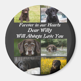 Custom modern Pet Memorial 6 Photo Collage   Magnet