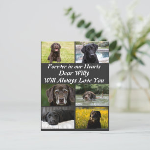 Custom modern Pet Memorial 6 Photo Collage Postcard