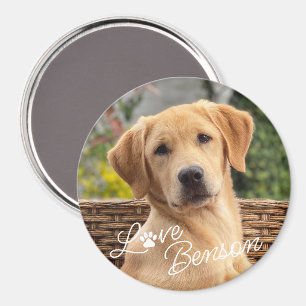Custom Modern Picture Love Paw Heart Quote Text Magnet